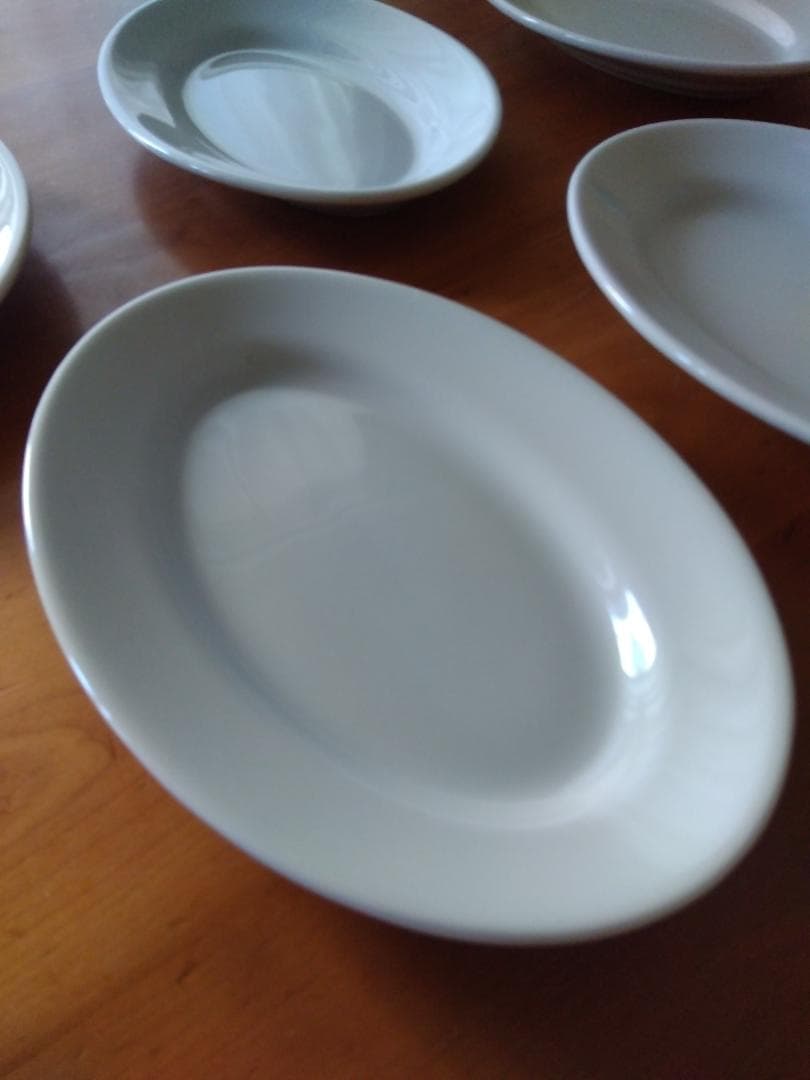 Saturnia チボリ 25cm 食器 Made in Italy 5枚 楽天市場】【レビューでクーポン&プレゼント】Saturnia チボリ