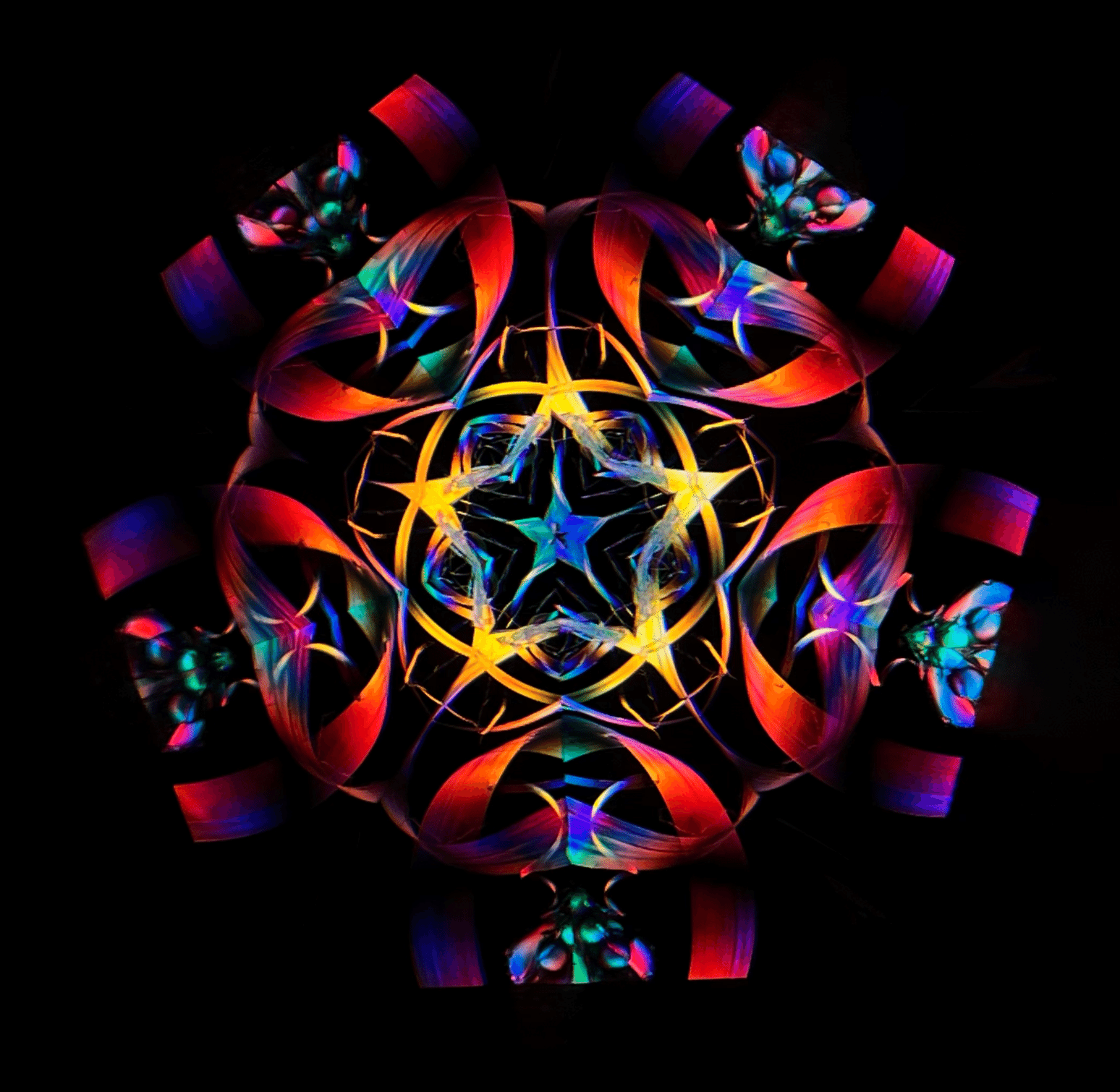 Mirror Cruise x Towk 万華鏡二人展 2024 12/21(Sat)-2025 1/5(Sun